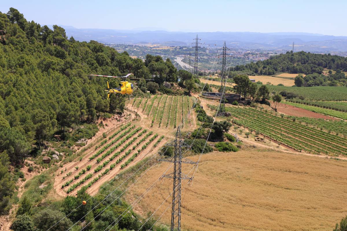 Els mitjans aeris, imprescindibles per prevenir incendis forestals: 