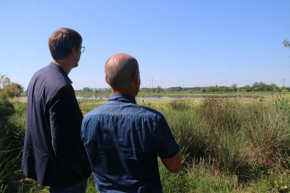 Pla de xoc per restaurar l'estany expropiat dels aiguamolls de l'Empordà
