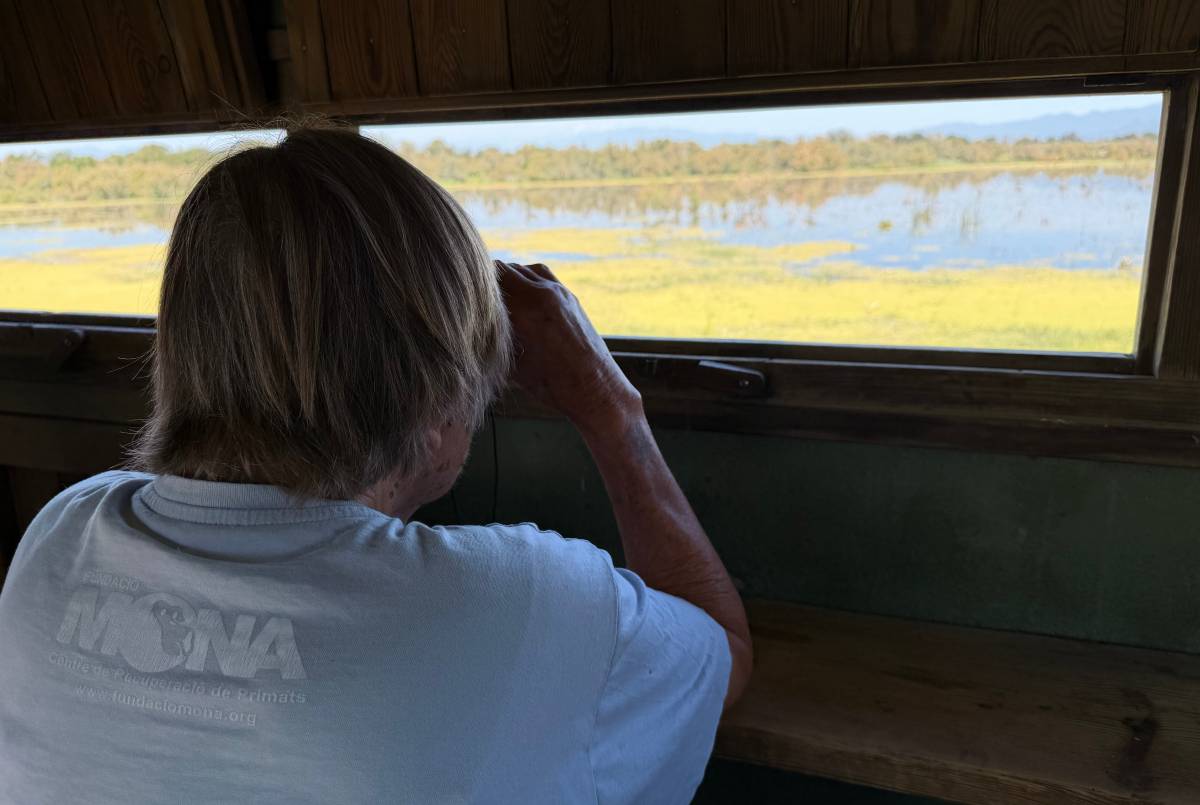A l'estany de Vilaüt es va instal·lar el primer observatori d'ocells del parc natural - Gemma Tubert / ACN