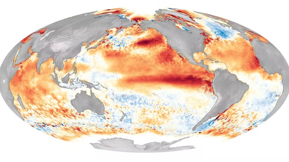 Mapa de les zones de temperatura superficial de la mar que són més altes (roig) o més baixes (blau) d`allò que es considera normal - NOAA Mapa de les zones de temperatura superficial de la mar que són més altes (roig) o més baixes (blau) d`allò que es considera normal