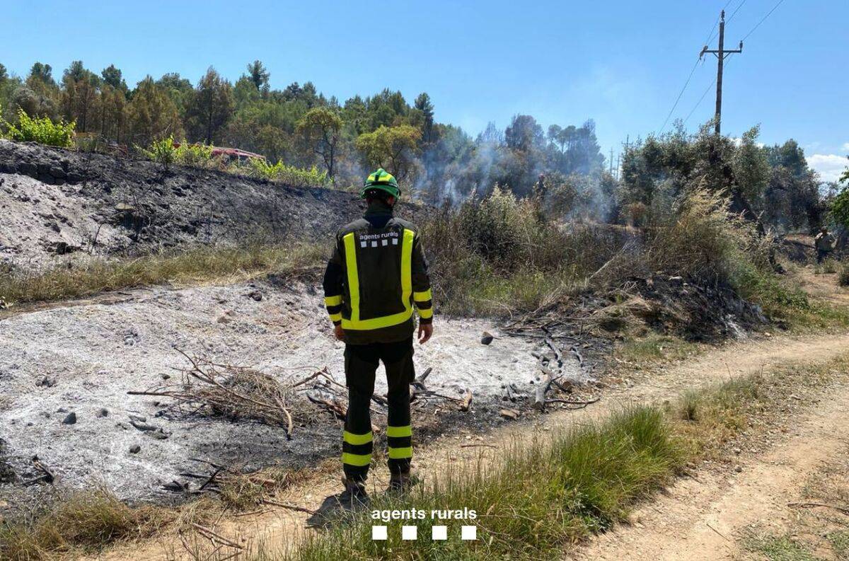 Estabilitzat un incendi forestal a Bot causat per una crema de restes d’esporga