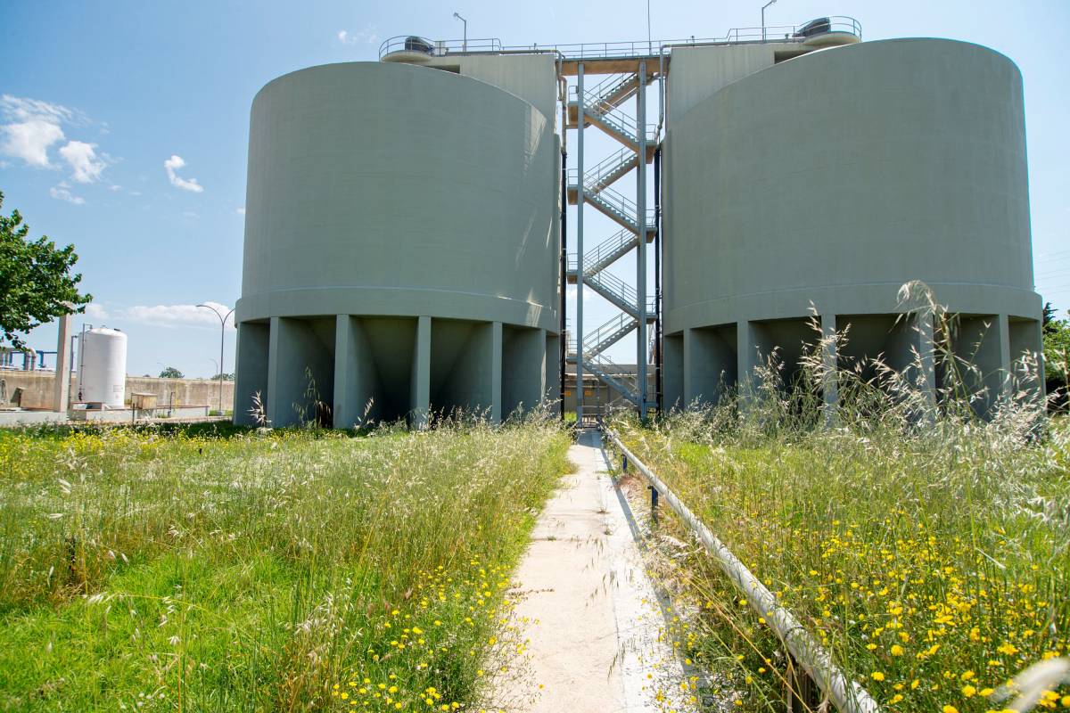 Aigües de Barcelona referma el seu compromís per assolir la neutralitat climàtica desplegant el seu pla de descarbonització i biodiversitat