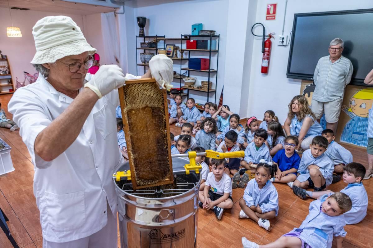 Taller d`abelles al Col·legi Servator - Juanma Peláez Taller d`abelles al Col·legi Servator