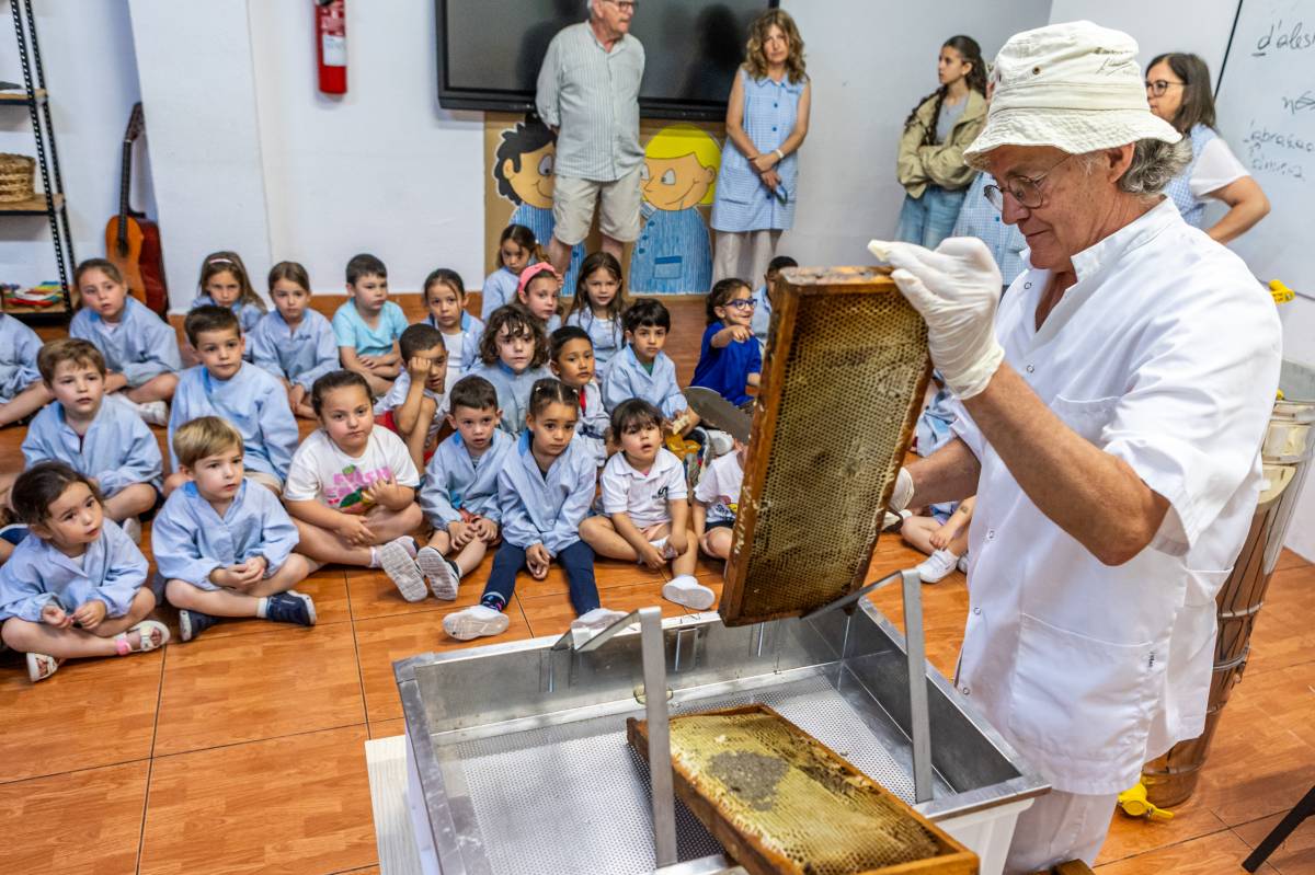 Taller d`abelles al Col·legi Servator - Juanma Peláez Taller d`abelles al Col·legi Servator