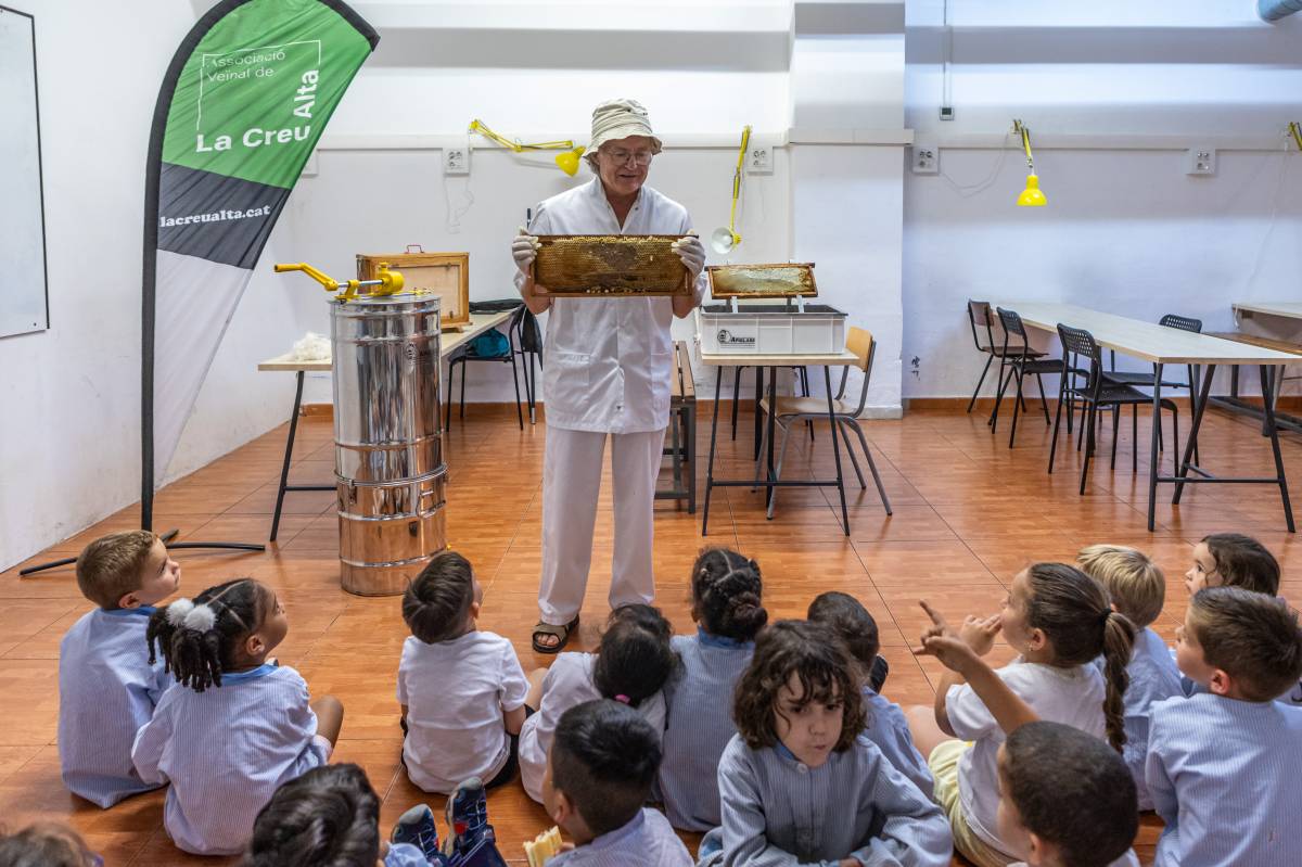 Taller d`abelles al Col·legi Servator - Juanma Peláez Taller d`abelles al Col·legi Servator