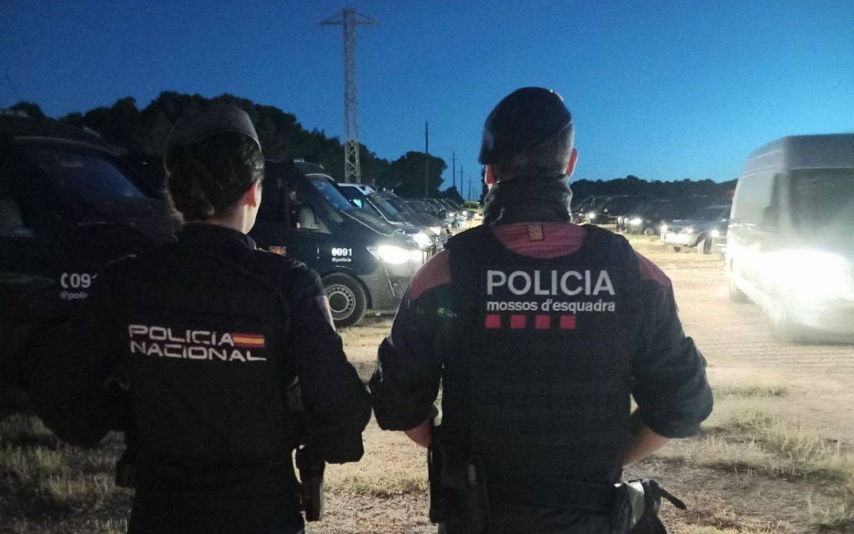 Dispositiu policial a l'Alt Camp contra una organització criminal dedicada al cultiu i tràfic de marihuana