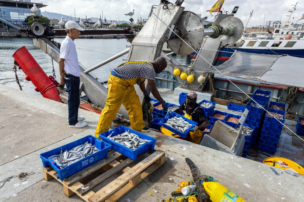 Cristina Caparro?s L`Ostia Port Barcelona pescadors pesca llotja - Hugo Fernández Cristina Caparro?s L`Ostia Port Barcelona pescadors pesca llotja