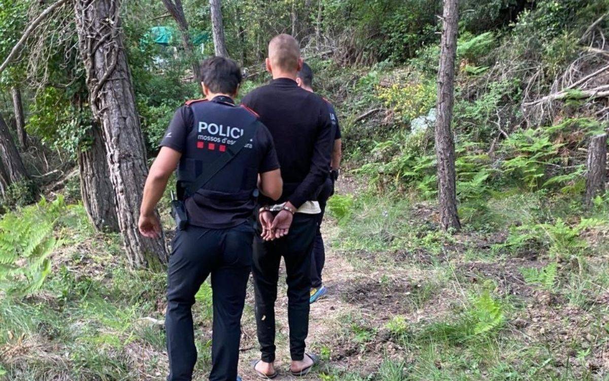 Desmantellen una plantació de marihuana amb 4.000 plantes en una zona boscosa al Baix Camp
