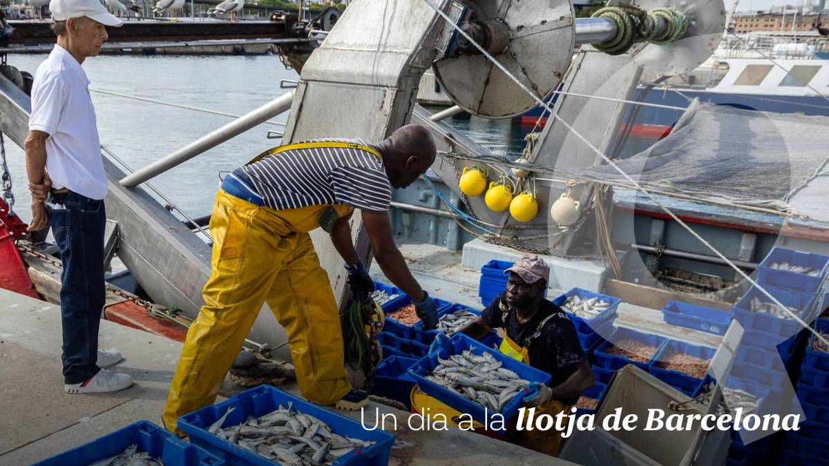«Les dones sempre s'han encarregat de preparar la barca i comercialitzar el peix»