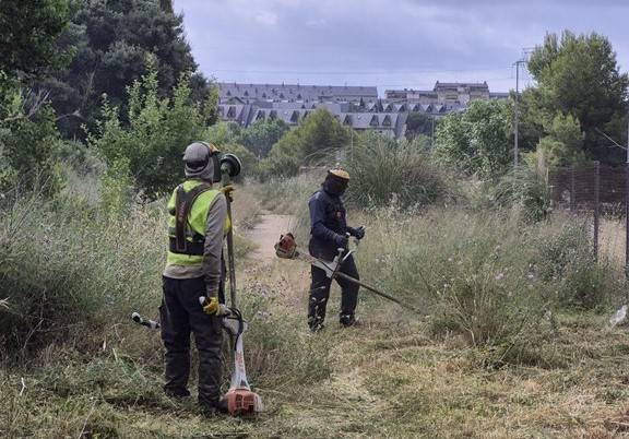 Treballs de reforç de les franges contra incendis a Viladecavalls