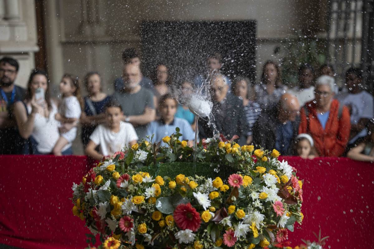 FOTOS | La “dansa” de l’ou ja ha començat