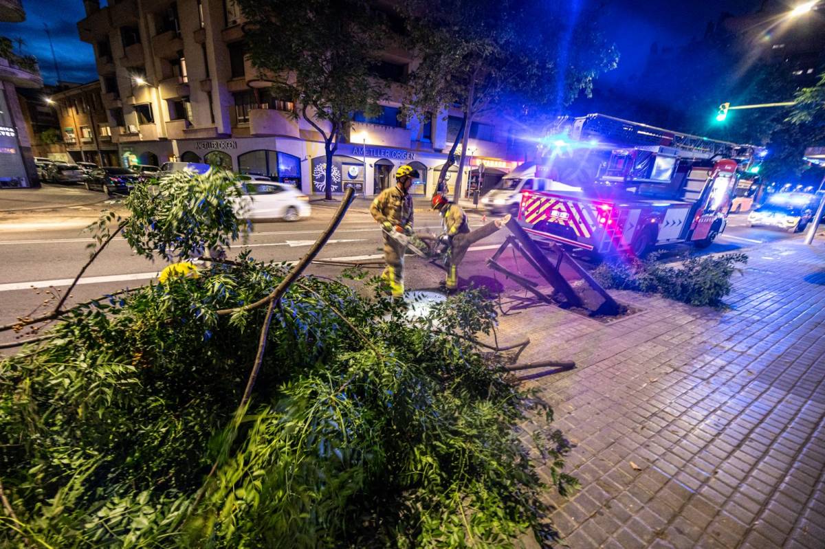 Un camió topa amb un arbre a la Creu Alta