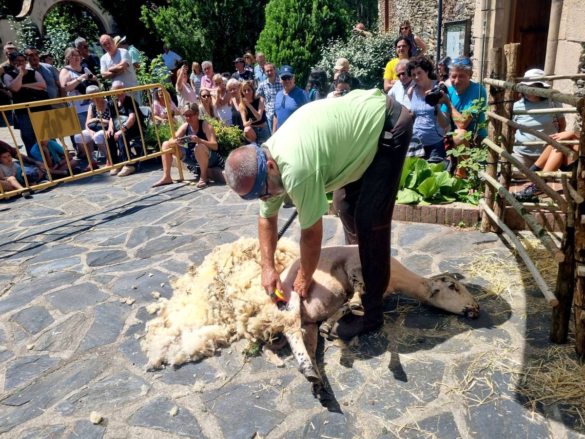 Montseny reivindica la ramaderia amb la Fira de les Esquelles 2026