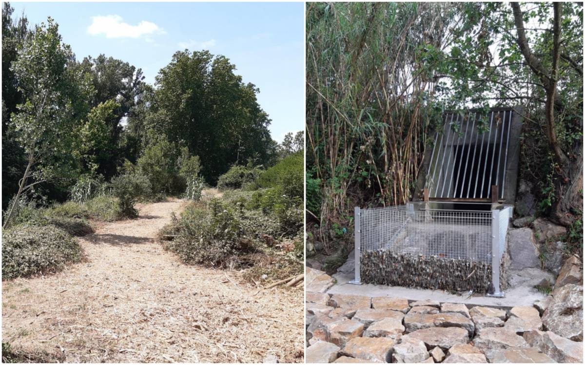 Sant Celoni restaura la Tordera al polígon Molí de les Planes