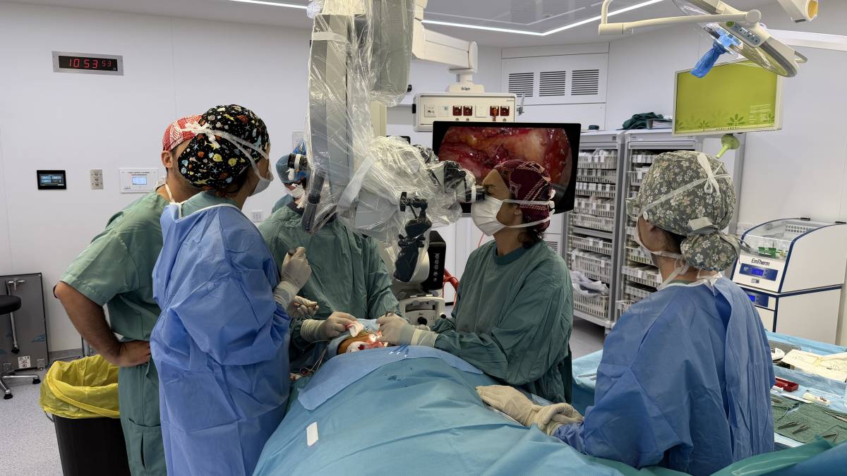 Catalunya lidera l'exploració d'una nova via terapèutica per millorar els símptomes de l'Alzheimer en fase inicial