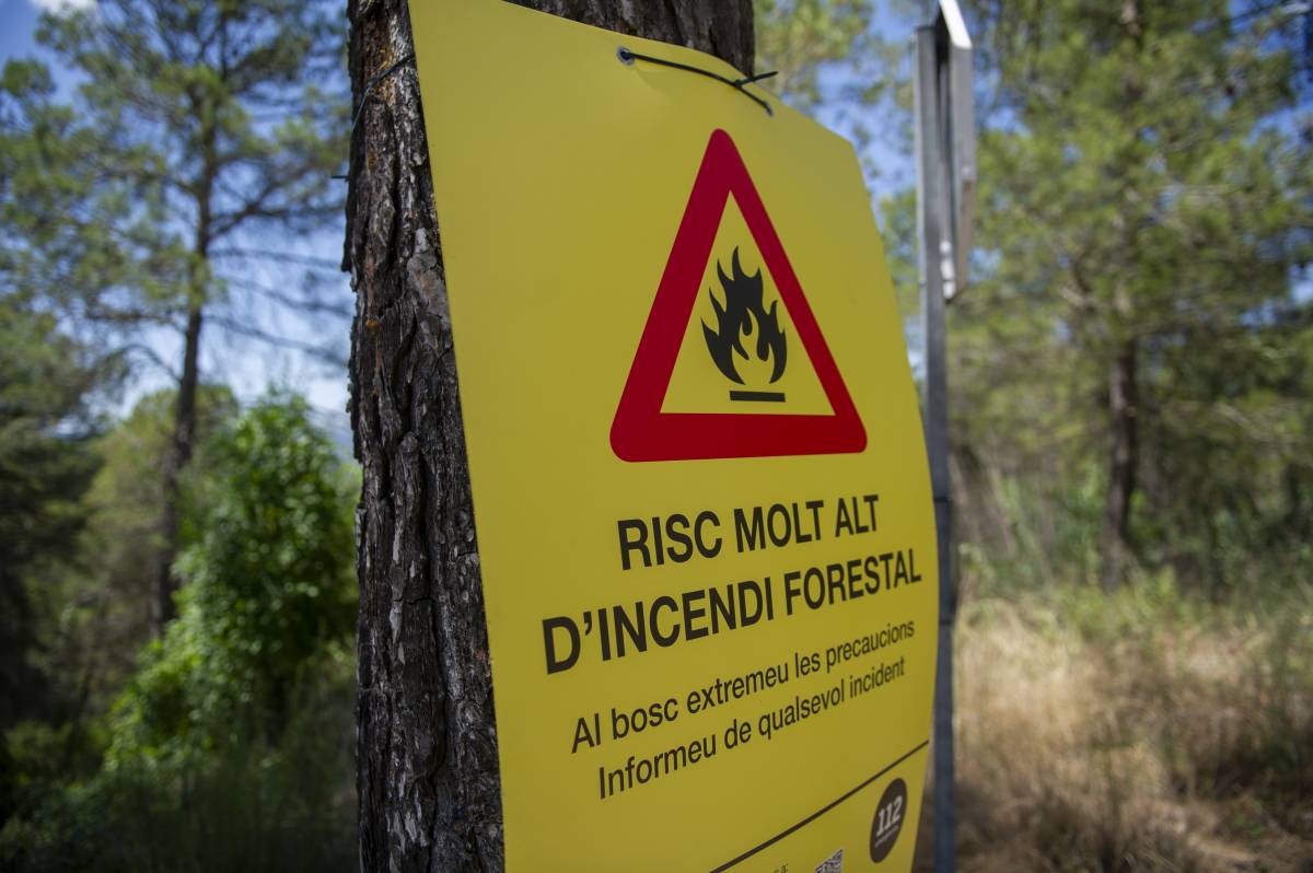 Enxampat 'in fraganti' el presumpte autor de diversos incendis a Terrassa
