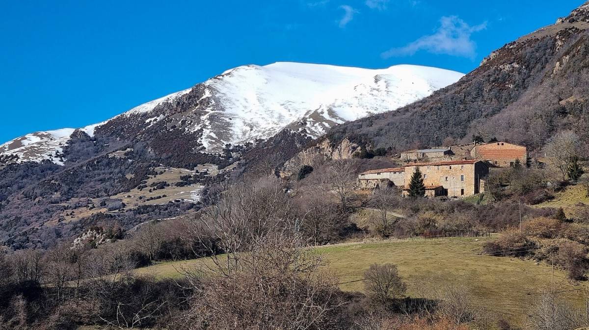 Una vaca envestix un excursionista i el deixa ferit greu
