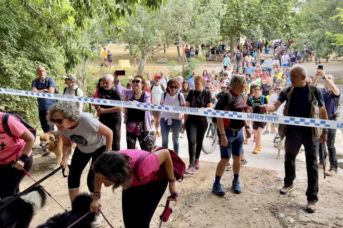 Desafien el tancament de Collserola per la pesta porcina