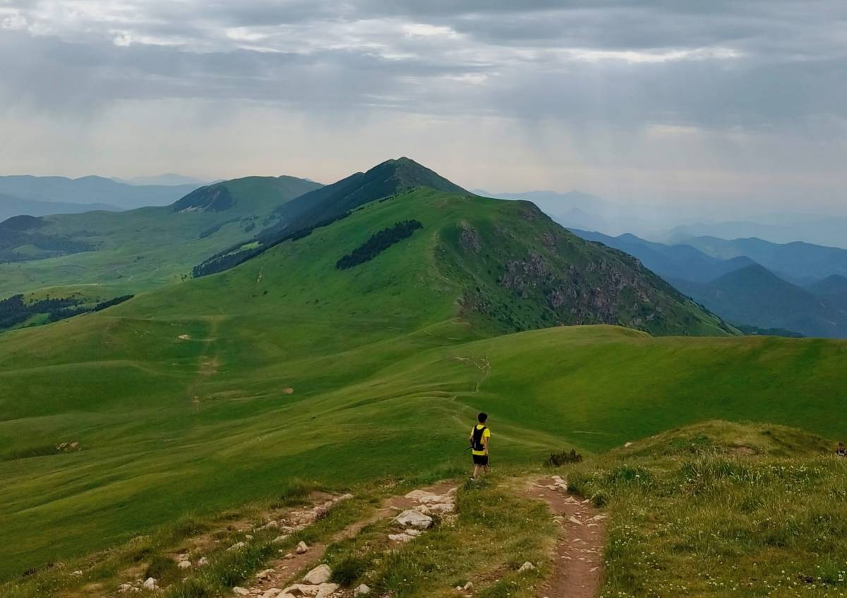 Una vaca envesteix un excursionista i el deixa ferit greu