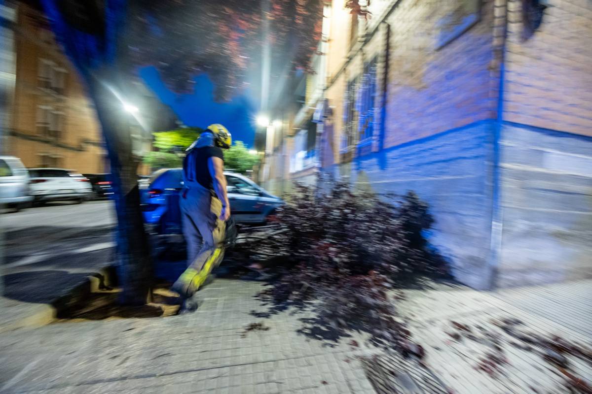 FOTOS | Ensurt per la caiguda d'una branca de grans dimensions sobre dos cotxes