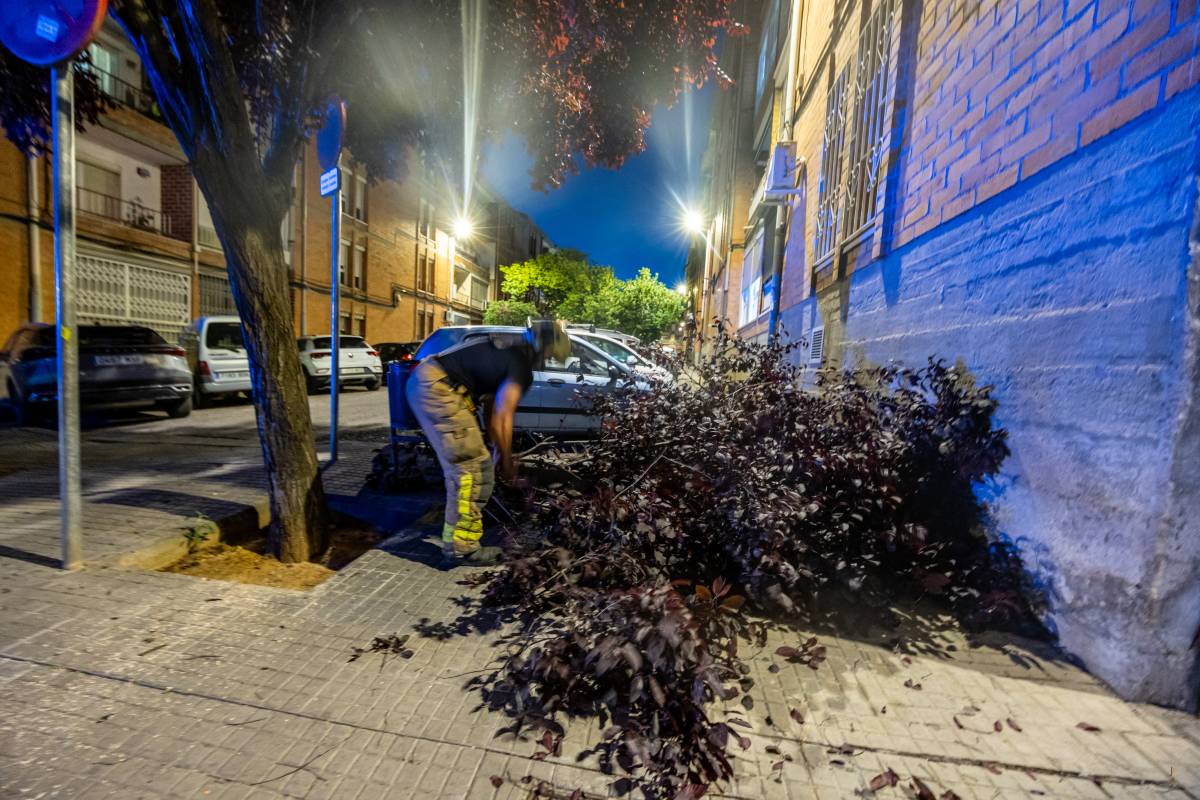 Ensurt per la caiguda d`una branca de grans dimensions sobre dos cotxes - Juanma Peláez Ensurt per la caiguda d`una branca de grans dimensions sobre dos cotxes