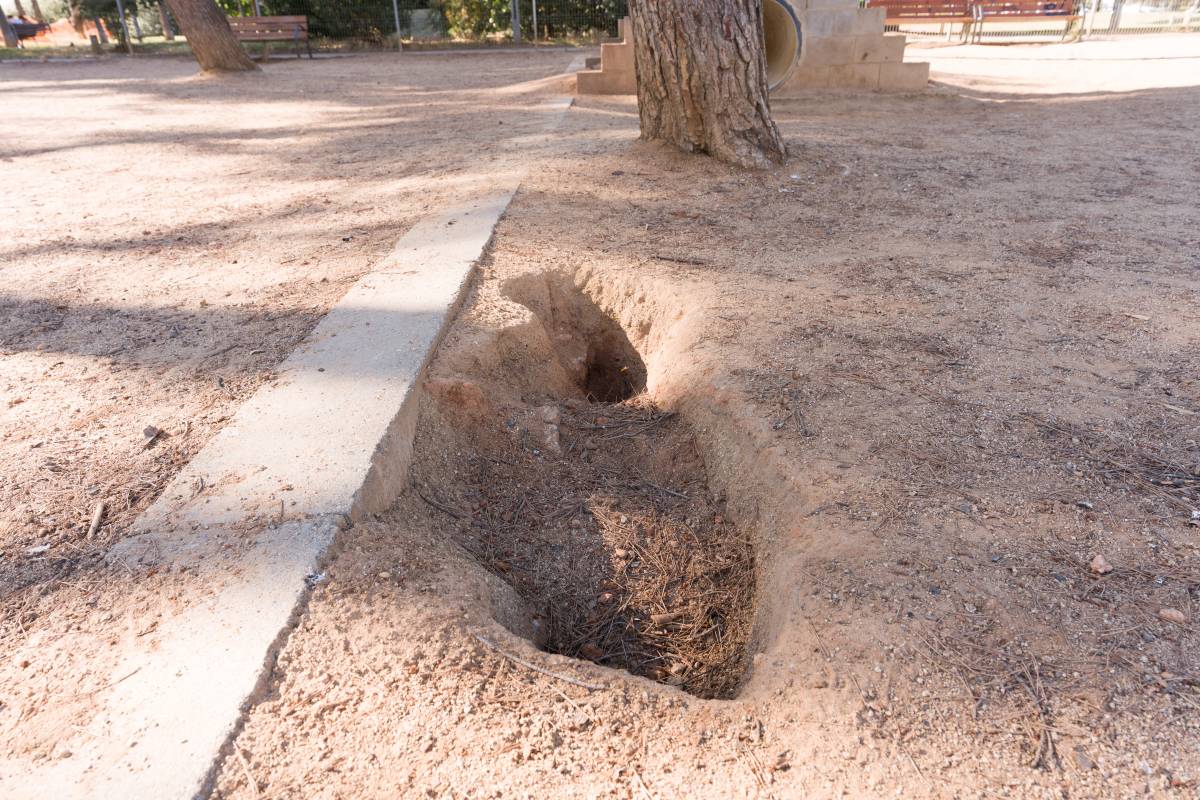 Àrea de gossos del Taulí de Sabadell - DAVID CHAO Àrea de gossos del Taulí de Sabadell