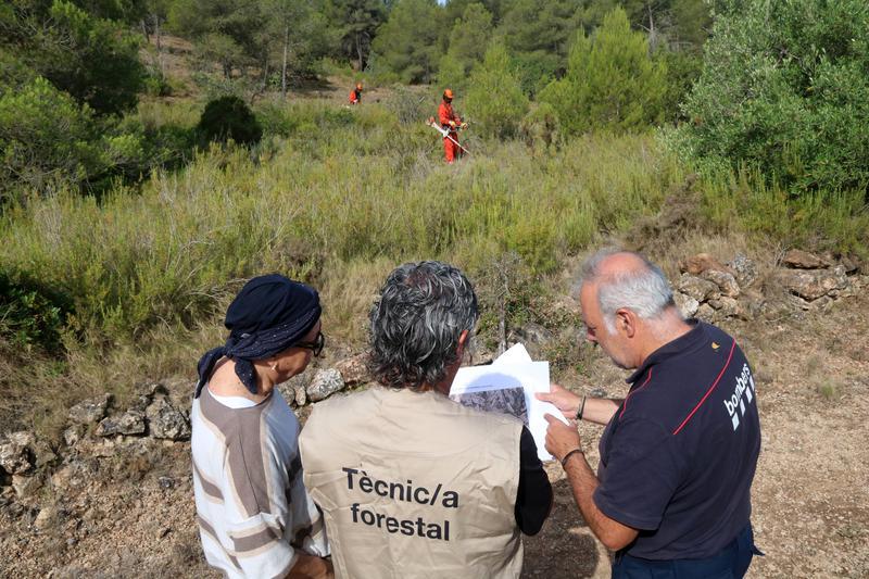En marxa l'habilitació d'un eix de confinament d'incendis forestals entre Rasquera i el Perelló