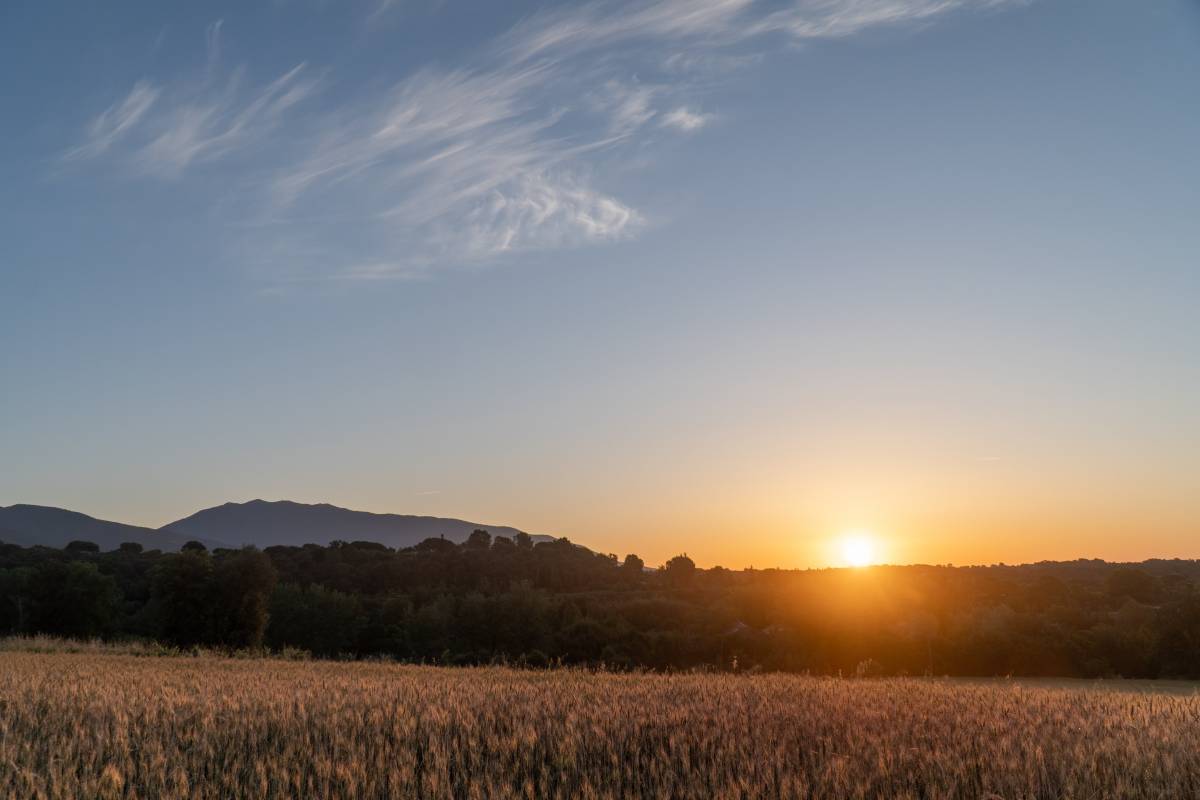 El Montseny s'organitza contra el Plater: «Ens volen prendre la terra»
