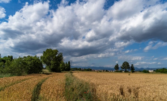 El temps d'aquest divendres: sol i augment de les temperatures