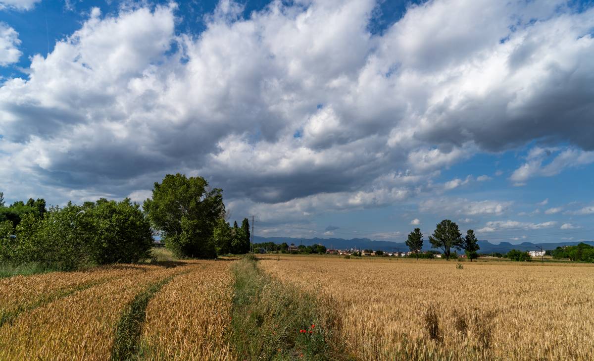 El temps d'aquest divendres: sol i augment de les temperatures