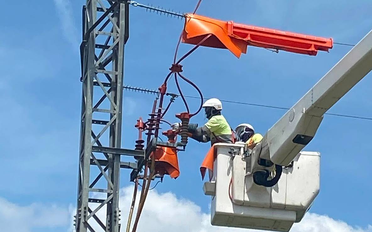 Endesa adaptarà més de 300 suports de la xarxa elèctrica d'Osona per reforçar la protecció de l'avifauna