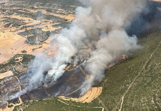 Els Bombers treballen en un incendi de vegetació agrícola i forestal a Sanaüja