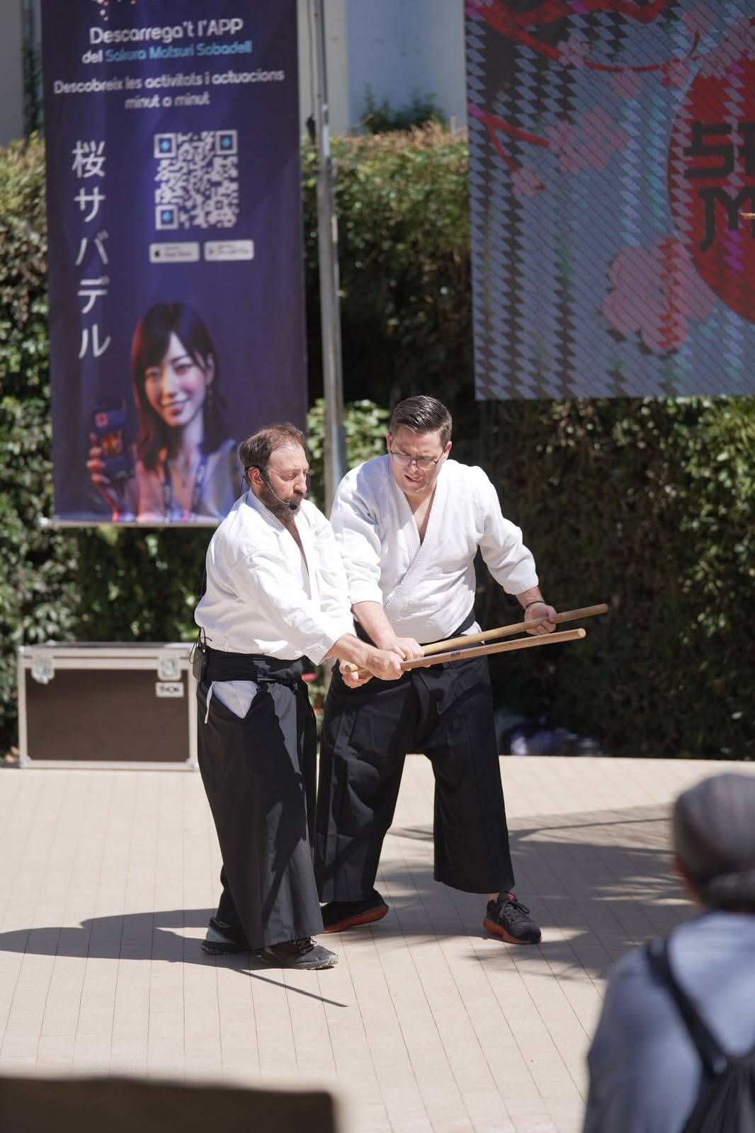 Un petit Japó a Sabadell amb la Sakura Matsuri - DAVID CHAO