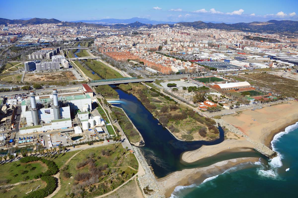 Projecte reViu Besòs per millorar l`estat de la desembocadura - Cedida per l`AMB Projecte reViu Besòs per millorar l`estat de la desembocadura
