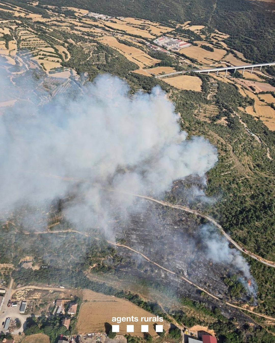 Un incendi forestal crema una desena d'hectàrees a Ponts, a la Noguera  