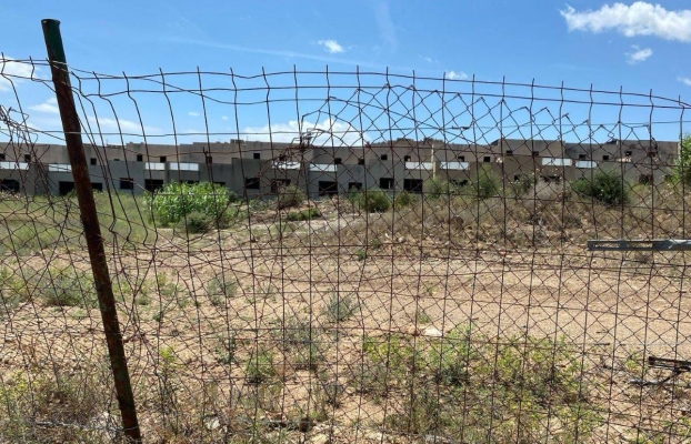 Brots verds a la finca de la Palma de l'Aldea per revitalitzar el cadàver urbanístic de Fadesa