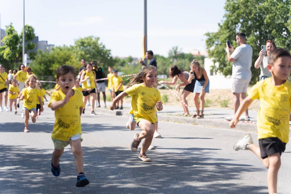 L'Escola Concòrdia celebra la Festa de la Convivència - DAVID CHAO