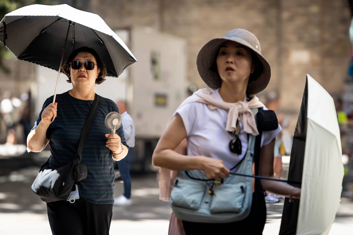 La millor recepta per sobreviure a la calor, segons la xef Maria Nicolau: «Fa passar la xafogor»