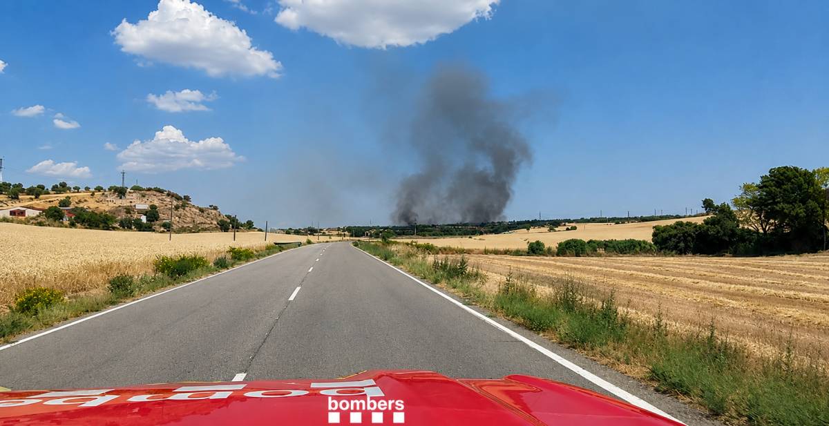 Un incendi de vegetació agrícola a Torrefeta mobilitza una quinzena de dotacions dels Bombers