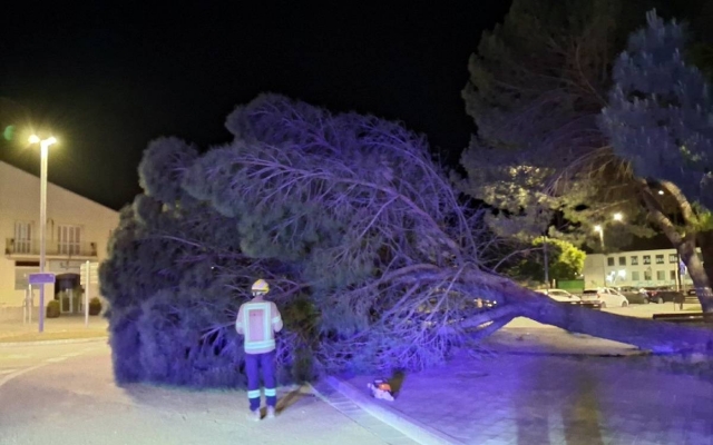 Els Bombers retiren un arbre caigut de grans dimensions del Pont de la Concòrdia de Sallent