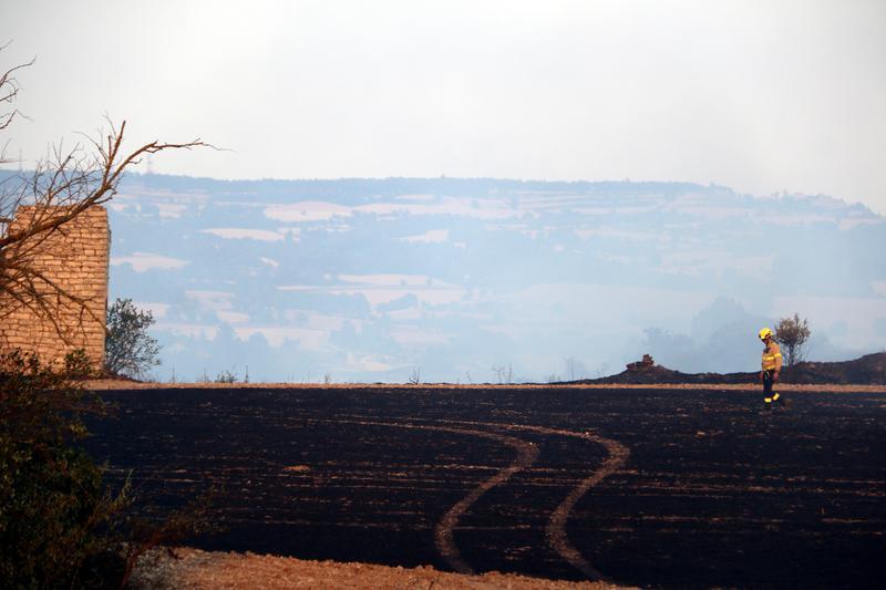 La calor i la sega disparen el risc d'incendis als boscos lleidatans