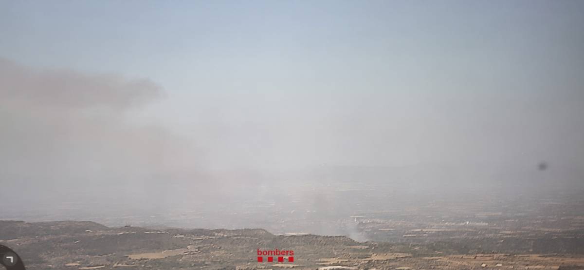 Un incendi de vegetació a l’Albi obliga a interrompre l’alta velocitat entre Lleida i Barcelona