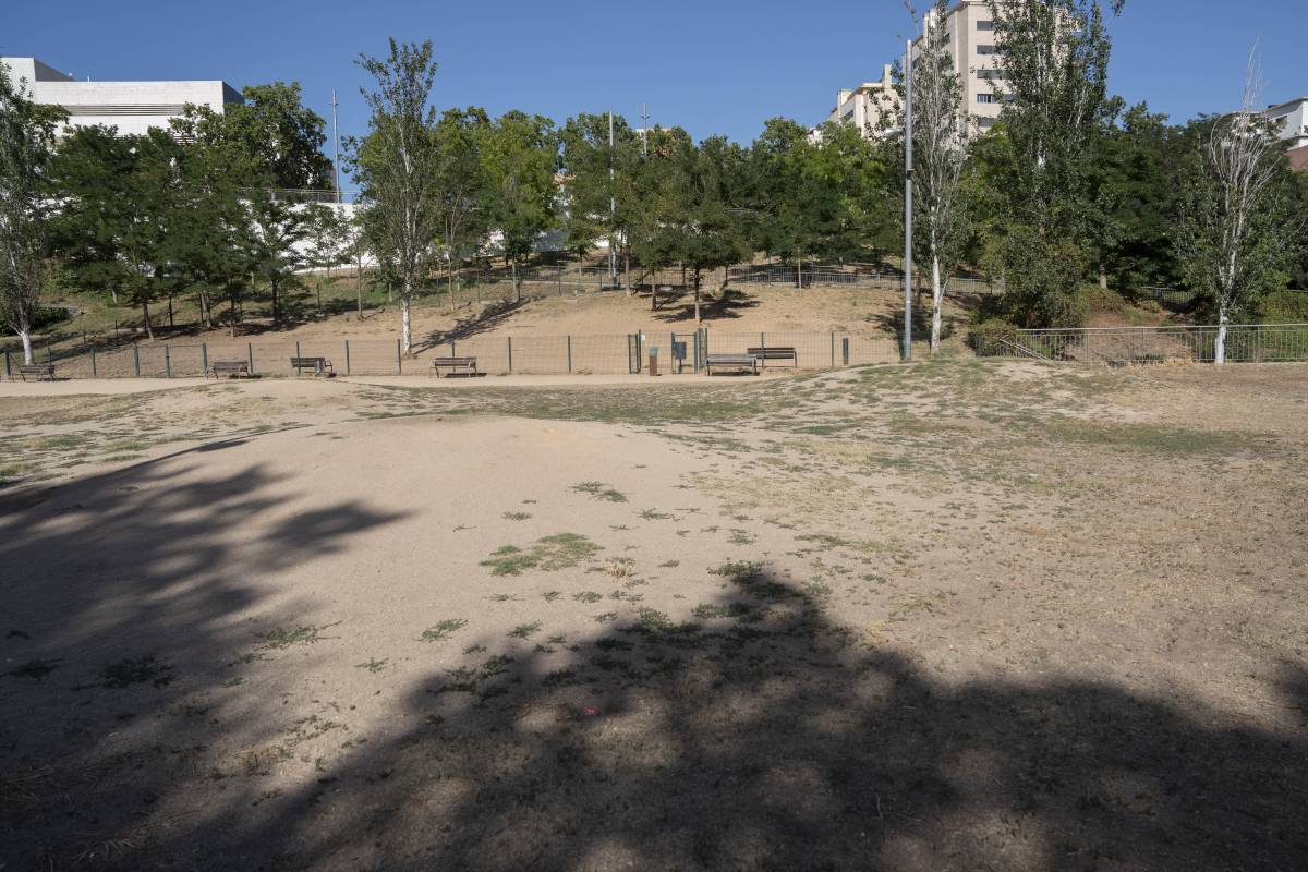 La zona de dunes, davant del pipicà existent, que acaba transformant-se informalment en zona de pas de gossos - Alberto Tallón La zona de dunes, davant del pipicà existent, que acaba transformant-se informalment en zona de pas de gossos