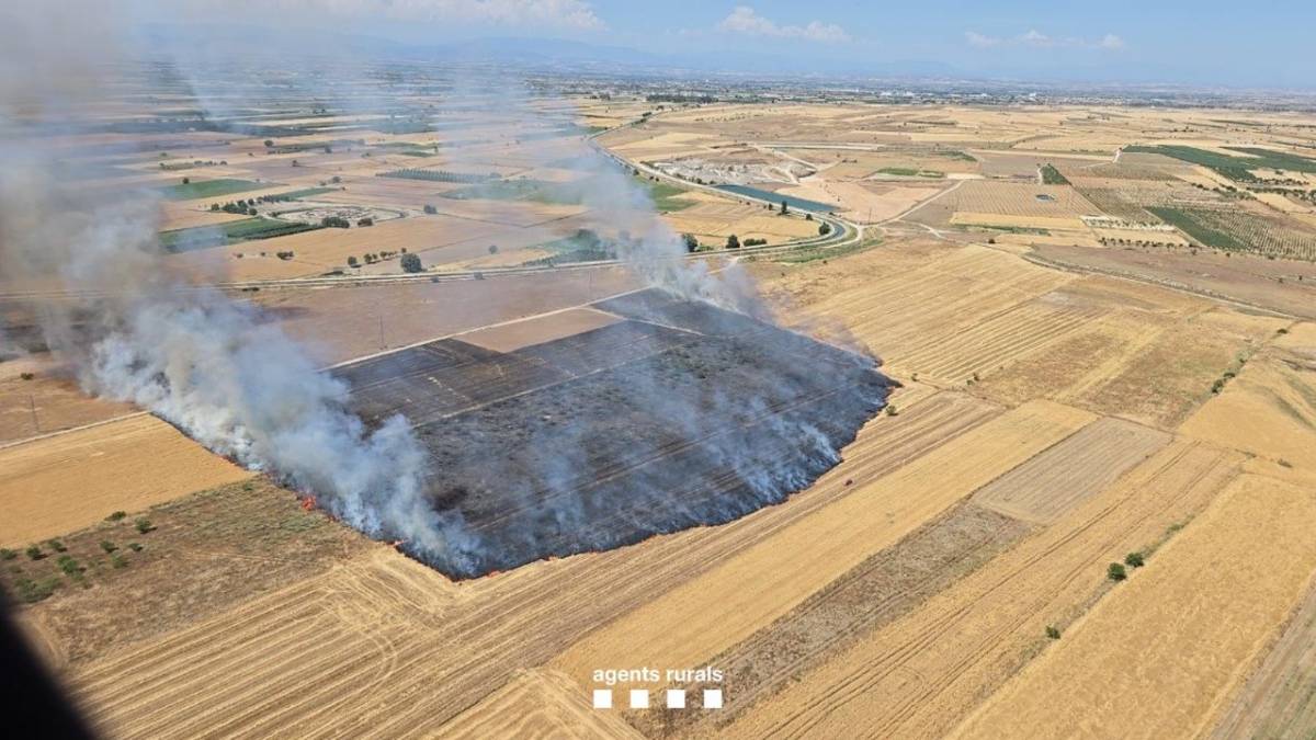 Tres incendis agrícoles cremen 23 hectàrees a Ponent