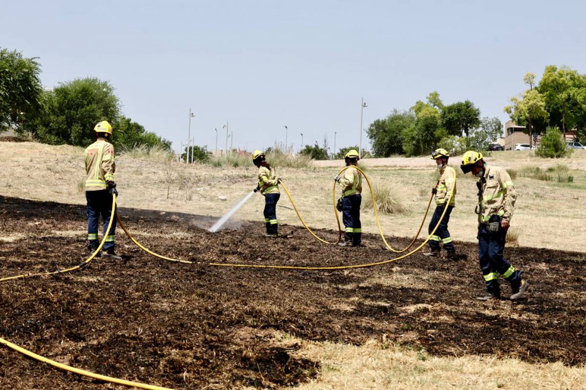 Cremen 600 m² de matolls al Torrent del Capellà