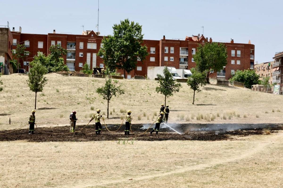 Cremen matolls al carrer de les Hortènsies - Cremen matolls al carrer de les Hortènsies