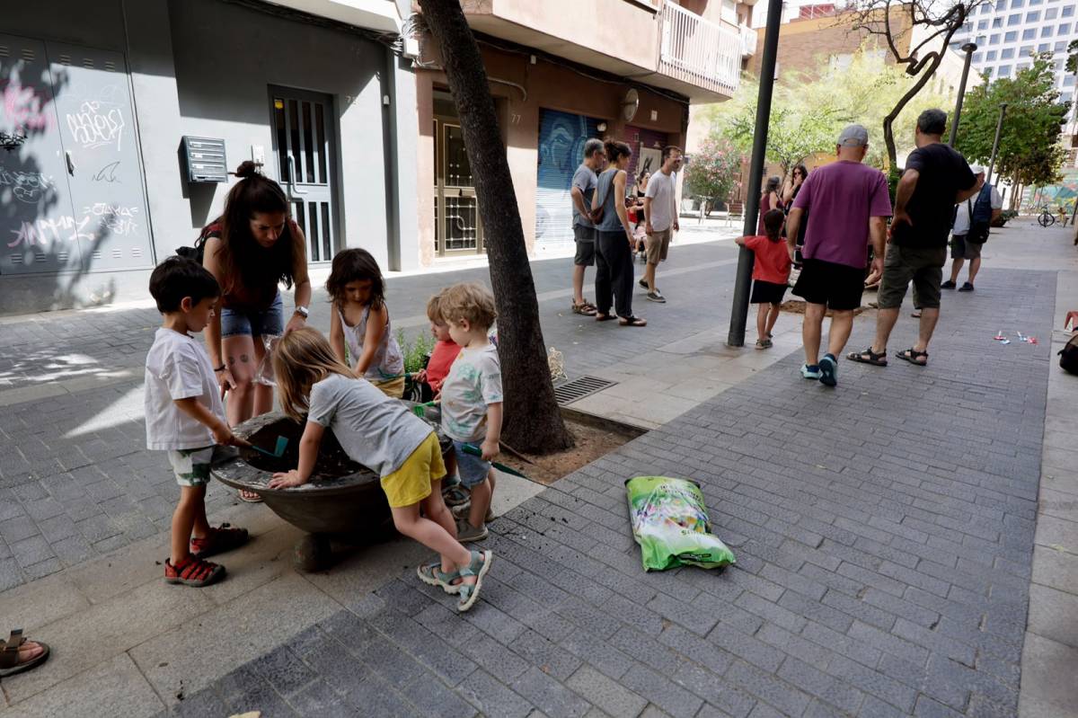 Plantació d`espècies arbustives mediterrànies i autòctones al Centre - JUANMA PELÁEZ Plantació d`espècies arbustives mediterrànies i autòctones al Centre