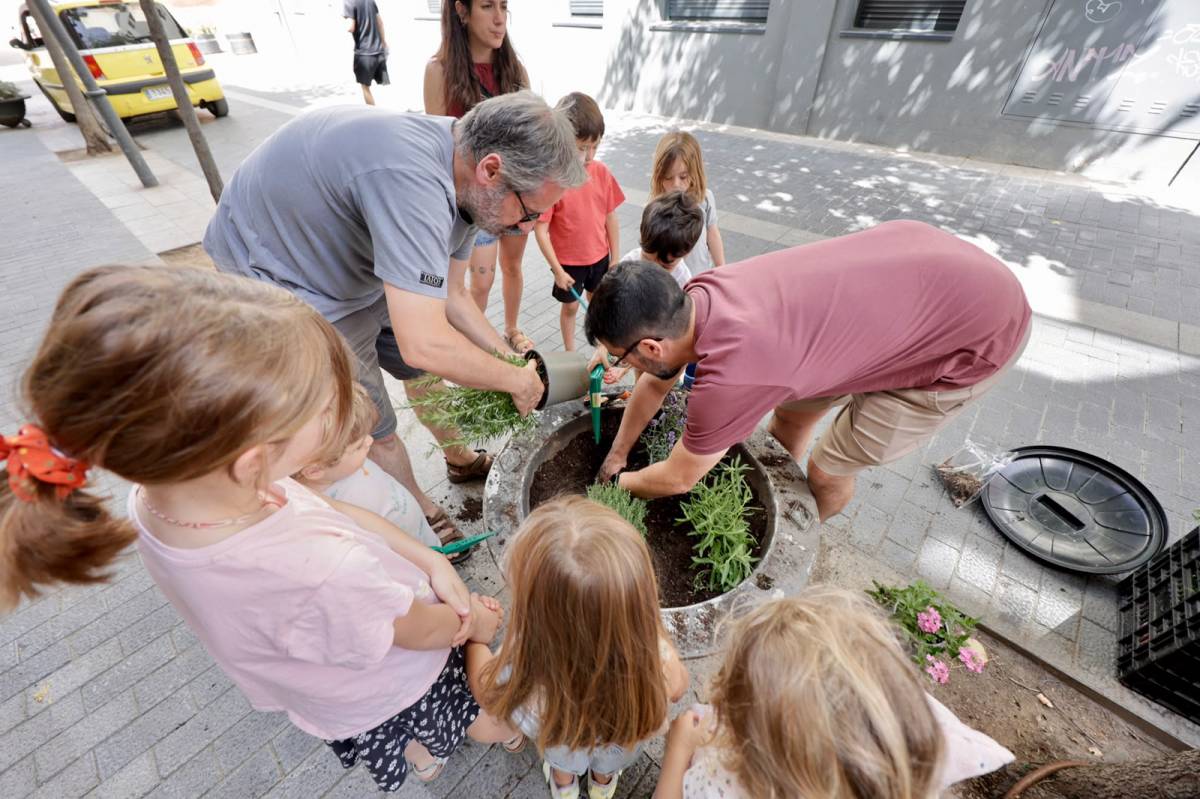 Plantació d`espècies arbustives mediterrànies i autòctones al Centre - JUANMA PELÁEZ Plantació d`espècies arbustives mediterrànies i autòctones al Centre