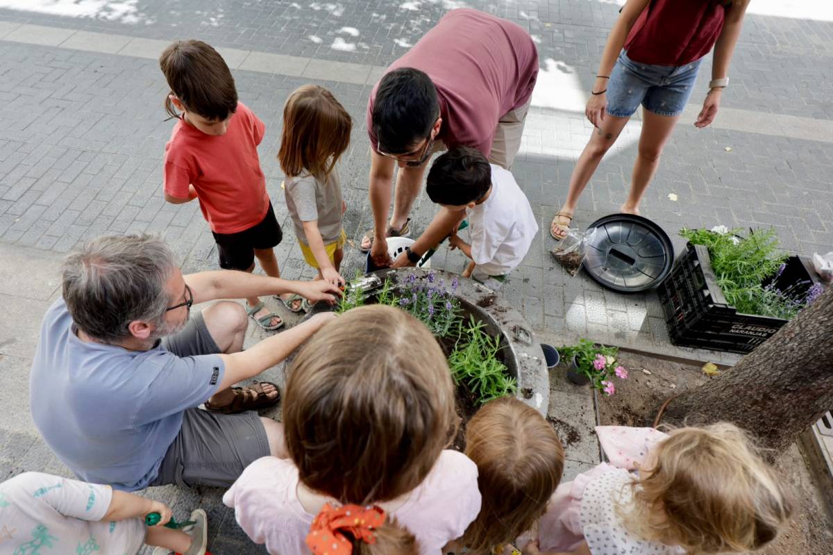 Plantació d`espècies arbustives mediterrànies i autòctones al Centre - JUANMA PELÁEZ Plantació d`espècies arbustives mediterrànies i autòctones al Centre