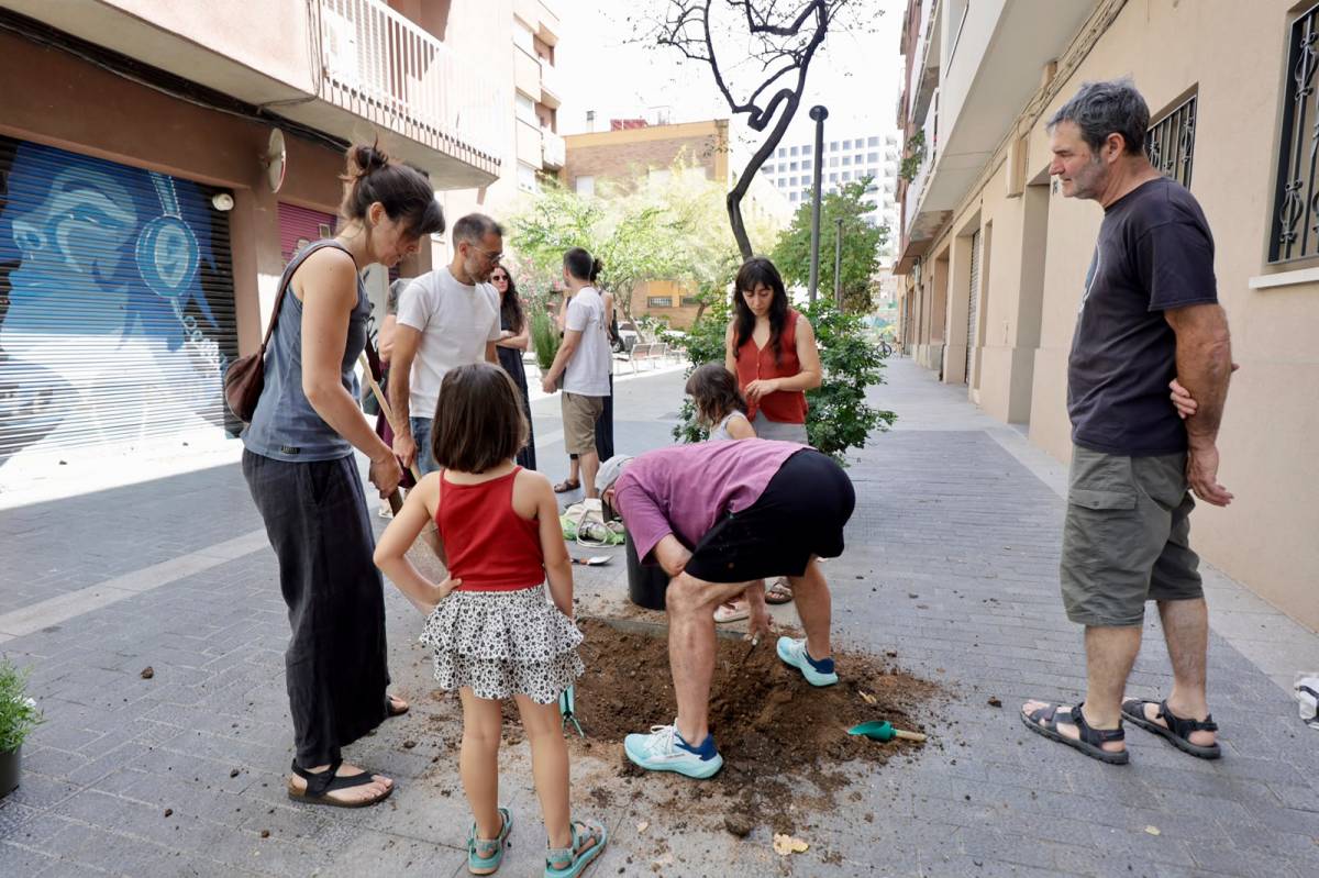 Plantació d`espècies arbustives mediterrànies i autòctones al Centre - JUANMA PELÁEZ Plantació d`espècies arbustives mediterrànies i autòctones al Centre